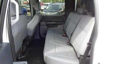 2023 Ford F-150 Base