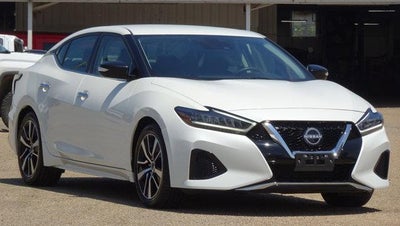 2023 Nissan Maxima SV