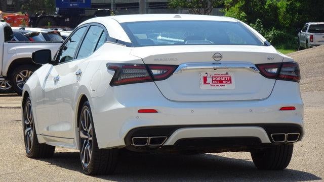 2023 Nissan Maxima SV