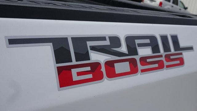 2022 Chevrolet Silverado 1500 LTD Custom Trail Boss