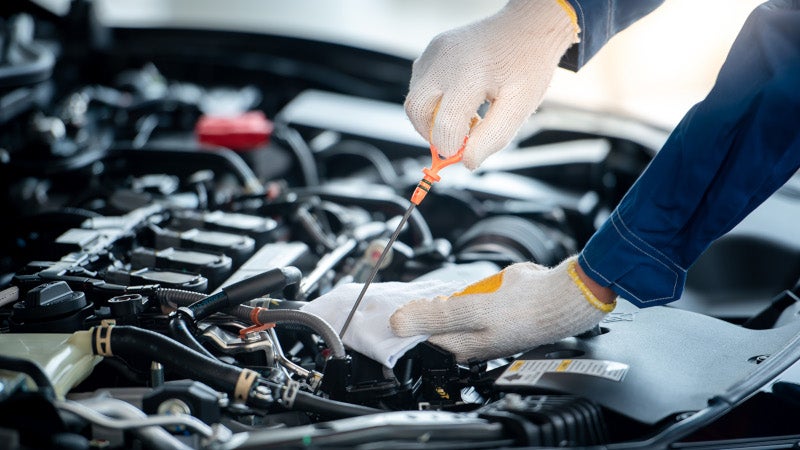 service technician checking oil level on car